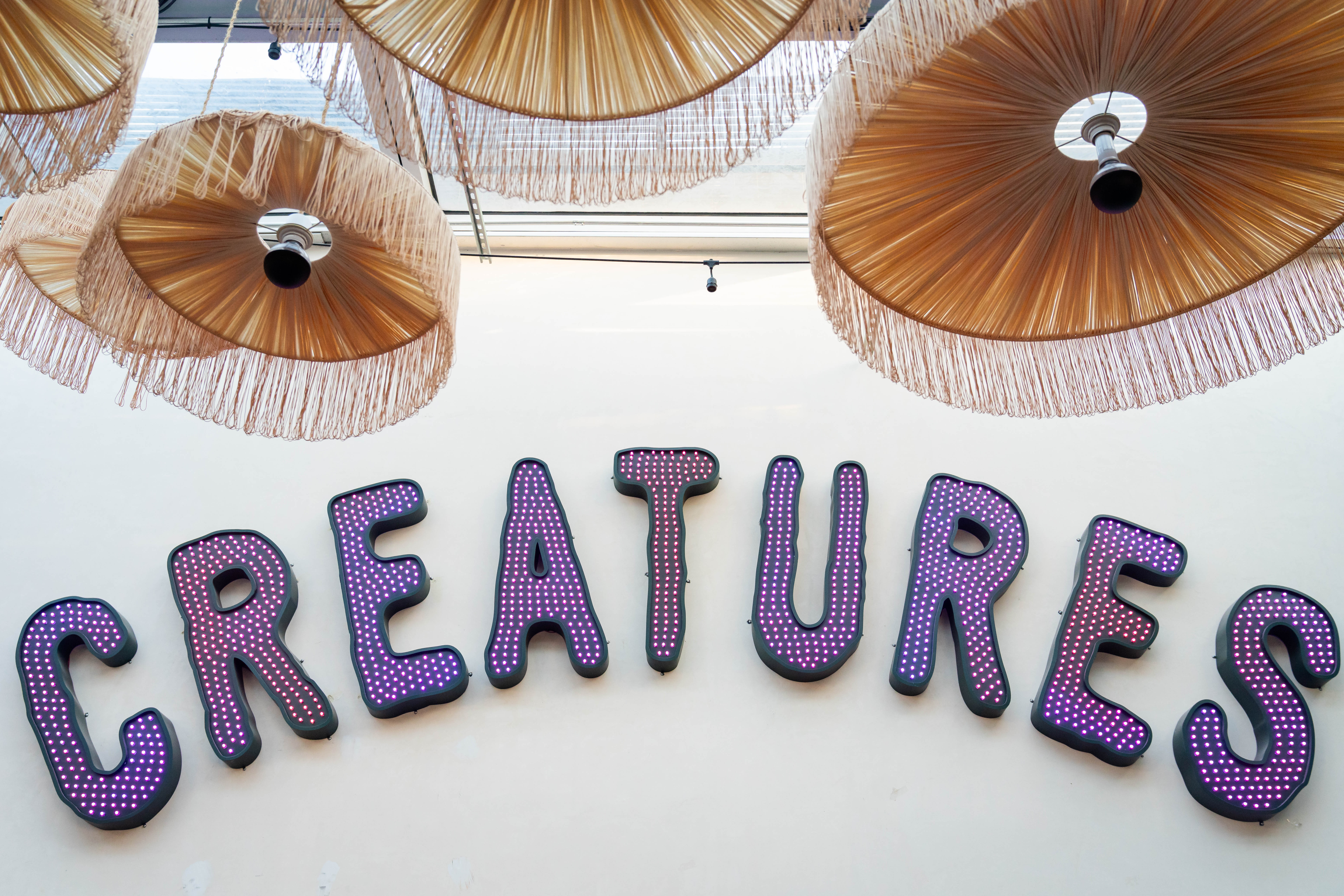 Claw City NYC photo 4